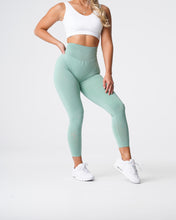 Load image into Gallery viewer, Sage Green NV Seamless Leggings